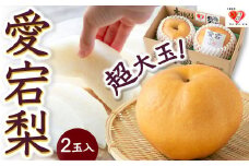 【先行予約】佐藤ファーム 愛宕梨 超大玉 2玉入 2025年11月上旬 出荷予定
