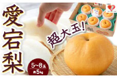 【先行予約】佐藤ファーム 愛宕梨 5玉から8玉(約5kg) 2025年11月上旬 出荷予定