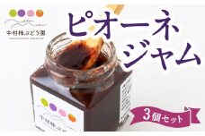 中村柿ぶどう園 ピオーネジャム 130g×3個セット ジャム ぶどうジャム ピオーネ 常温 うきは市