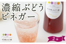 中村柿ぶどう園 濃縮ぶどうビネガー 300ml×2本  フルーツビネガー 果実酢 フルーツ酢 お酢 酢 ビネガー 濃縮タイプ 飲料 福岡県 うきは市