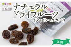 中村柿ぶどう園 ナチュラルドライフルーツ (シャインマスカット) 約40g×3個 