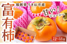 【先行予約】西見柿農園 富有柿 12玉から15玉 2025年11月下旬から12月上旬 出荷予定