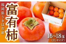【先行予約】伊藤園 富有柿 2Lサイズ 16玉～18玉 【2025年11月中旬から12月上旬出荷予定】 ／ 富有柿 柿 果物 フルーツ くだもの うきは市