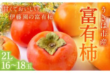 【先行予約】伊藤園 富有柿 2Lサイズ 16玉～18玉 【2025年11月中旬から12月上旬出荷予定】 ／ 富有柿 柿 果物 フルーツ くだもの うきは市