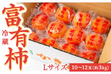 【先行予約】伊藤園 冷蔵富有柿  （Lサイズ） 10玉～12玉 約3kg 【2025年12月中旬から12月下旬出荷予定】 ／ 富有柿 柿 果物 フルーツ くだもの うきは市