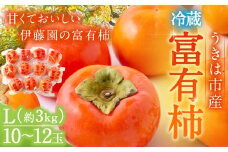 【先行予約】伊藤園 冷蔵富有柿  （Lサイズ） 10玉～12玉 約3kg 【2025年12月中旬から12月下旬出荷予定】 ／ 富有柿 柿 果物 フルーツ くだもの うきは市