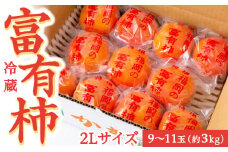 【先行予約】伊藤園 冷蔵富有柿 （2Lサイズ） 9玉～11玉 約3kg 【2025年12月中旬から12月下旬出荷予定】 ／ 富有柿 柿 果物 フルーツ くだもの うきは市