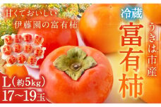【先行予約】伊藤園 冷蔵富有柿 （Lサイズ） 17玉～19玉 約5kg 【2025年12月中旬から12月下旬出荷予定】 ／ 富有柿 柿 果物 フルーツ くだもの うきは市