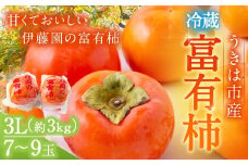【先行予約】伊藤園 冷蔵富有柿 （3Lサイズ） 7玉から9玉 約3kg 【2025年12月中旬から12月下旬出荷予定】 ／ 富有柿 柿 果物 フルーツ くだもの うきは市