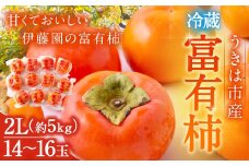 【先行予約】伊藤園 冷蔵富有柿 （2Lサイズ） 14玉～16玉 約5kg 【2025年12月中旬から12月下旬出荷予定】 ／ 富有柿 柿 果物 フルーツ くだもの うきは市