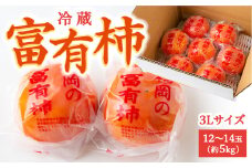 【先行予約】伊藤園 冷蔵富有柿 （3Lサイズ） 12玉から14玉 約5kg 【2025年12月中旬から12月下旬出荷予定】 ／ 富有柿 柿 果物 フルーツ くだもの うきは市