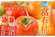【先行予約】伊藤園 冷蔵富有柿 （3Lサイズ） 12玉から14玉 約5kg 【2025年12月中旬から12月下旬出荷予定】 ／ 富有柿 柿 果物 フルーツ くだもの うきは市