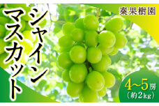 【先行予約】 秦果樹園 シャインマスカット 4房から5房 （約2kg） 【2025年8月下旬から9月中旬 出荷予定】 葡萄 ぶどう ブドウ 種無し 種なし 果物 くだもの フルーツ 果実 お取り寄せ 福岡県 うきは市