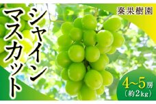 【先行予約】 秦果樹園 シャインマスカット 4房から5房 （約2kg） 【2025年8月下旬から9月中旬 出荷予定】 葡萄 ぶどう ブドウ 種無し 種なし 果物 くだもの フルーツ 果実 お取り寄せ 福岡県 うきは市