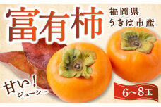 【先行予約】西見柿農園 富有柿 6玉から8玉 2025年11月下旬から12月上旬 出荷予定