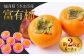 【先行予約】西見柿農園 富有柿 6玉から8玉