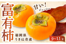 【先行予約】西見柿農園 富有柿 9玉から11玉 2025年11月下旬から12月上旬 出荷予定