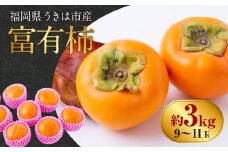 【先行予約】西見柿農園 富有柿 9玉から11玉 2025年11月下旬から12月上旬 出荷予定