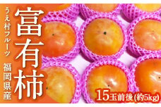 【先行予約】うえ村フルーツ 富有柿 15玉前後 (約5kg) 2025年11月中旬から12月上旬 出荷予定