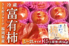 【先行予約】うえ村フルーツ 冷蔵富有柿 Lから２Lｻｲｽﾞ 15玉前後 (約5kg) 2025年12月中旬から12月下旬 出荷予定