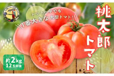 道の駅 うきは 桃太郎トマト 12玉前後 （約2kg） 【2024年12月1日〜12月30日、2025年1月5日〜5月20日 出荷予定】 トマト とまと ももたろうトマト 大玉トマト 野菜 ベジタブル 新鮮 フレッシュ お取り寄せ 福岡県 うきは市