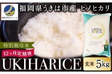 【12ヶ月定期便】みずほファーム UKIHA RICE (玄米5kg×12ヶ月) 【特別栽培米】 【2025年11月より順次発送予定】 米 ヒノヒカリ  玄米 お米 ご飯 うきは市