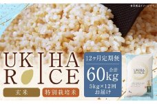 【12ヶ月定期便】みずほファーム UKIHA RICE (玄米5kg×12ヶ月) 【特別栽培米】 【2025年11月より順次発送予定】 米 ヒノヒカリ  玄米 お米 ご飯 うきは市