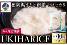 【6ヶ月定期便】みずほファーム UKIHA RICE (白米10kg×6ヶ月)  【2025年11月より順次発送予定】 米 ヒノヒカリ お米 ご飯 うきは市