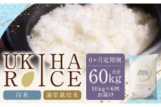 【6ヶ月定期便】みずほファーム UKIHA RICE (白米10kg×6ヶ月)  【2025年11月より順次発送予定】 米 ヒノヒカリ お米 ご飯 うきは市