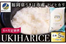 【6ヶ月定期便】みずほファーム UKIHA RICE (白米5kg×6ヶ月)  【2025年11月より順次発送予定】 米 ヒノヒカリ お米 ご飯 うきは市