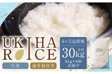 【6ヶ月定期便】みずほファーム UKIHA RICE (白米5kg×6ヶ月)  【2025年11月より順次発送予定】 米 ヒノヒカリ お米 ご飯 うきは市