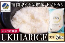 【6ヶ月定期便】みずほファーム UKIHA RICE (玄米5kg×6ヶ月)  【2025年11月より順次発送予定】 米 ヒノヒカリ お米 ご飯 うきは市