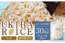 【6ヶ月定期便】みずほファーム UKIHA RICE (玄米5kg×6ヶ月)  【2025年11月より順次発送予定】 米 ヒノヒカリ お米 ご飯 うきは市