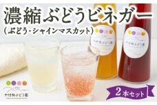 中村柿ぶどう園 濃縮ぶどうビネガー2本セット(ぶどう・シャインマスカット) 各300ml フルーツビネガー 果実酢 フルーツ酢 お酢 酢 ビネガー 濃縮タイプ 飲料 福岡県 うきは市