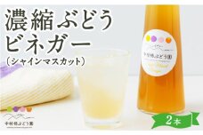 中村柿ぶどう園 濃縮ぶどうビネガー (シャインマスカット) 300ml×2本 フルーツビネガー 果実酢 フルーツ酢 お酢 酢 ビネガー 濃縮タイプ 飲料 福岡県 うきは市
