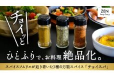 スープカレー専門店 禅 チョイスパ ３種の詰め合わせセット (スパイシー味・カレー味・ホットチリ味) 各40g×3本