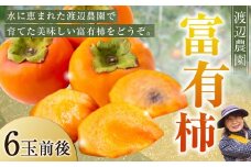 【先行予約】渡辺農園 富有柿 6玉前後 2025年11月中旬から12月上旬 出荷予定