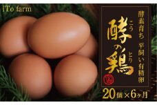 【6ヶ月定期便】iTo farm 酵の鶏 20個×6ヶ月お届け  鶏の卵 たまご 卵 玉子 タマゴ 鶏卵 オムレツ 卵かけご飯 朝食 料理 たまご焼き 福岡県 うきは市