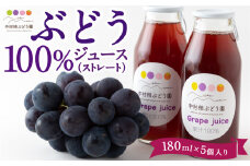 中村柿ぶどう園 ぶどう100％ジュース(ストレート) 180ml×5個入り