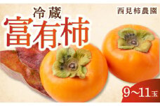 【先行予約】西見柿農園 冷蔵富有柿 9玉から11玉 2025年12月中旬から2026年1月下旬 出荷予定