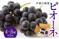 【先行予約】 平塚巨峰園 ピオーネ 4房から5房 （約2kg） 【2025年7月中旬から7月下旬 出荷予定】 葡萄 ぶどう ブドウ 大粒 種無し 種なし 果物 くだもの フルーツ 果実 お取り寄せ 福岡県 うきは市
