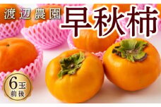 【先行予約】 渡辺農園 早秋柿 6玉前後 【2025年9月下旬から10月上旬 出荷予定】 柿 かき カキ 早秋 そうしゅう 果物 くだもの フルーツ 果実 ジューシー お取り寄せ 福岡県 うきは市