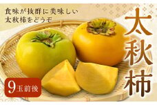 【先行予約】 渡辺農園 太秋柿 9玉前後 【2025年10月中旬から10月下旬 出荷予定】 柿 かき カキ 太秋 たいしゅう 完全甘柿 果物 くだもの フルーツ 果実 ジューシー お取り寄せ 福岡県 うきは市