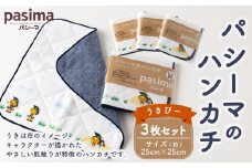 【限定品】龍宮 パシーマのハンカチ うきぴー 3枚セット ／ ガーゼ ハンカチ うきぴー うきは市