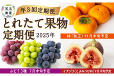 【年3回定期便】宝玉農園 とれたて果物定期便 2025年 (7月中旬予定：ぶどう３種・9月中旬予定：イチジク(とよみつひめ)・11月中旬予定：柿(秋王))