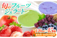 【果樹園が作る】素材の味を楽しめる 旬のジェラート 120ml×45個セット【ソルベッチdoうきは】着色料不使用 ノンホモ牛乳使用 ジェラート アイス 旬 スイーツ 詰め合わせ セット シャーベット ミルク フルーツ デザート