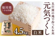 【特Aランク米】五庄屋の地で作ったお米 元気つくし 白米 (4.5kg)【2025年10月上旬より順次発送予定】こめ コメ ごはん ご飯 福岡県うきは市産 九州産