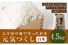 【特Aランク米】五庄屋の地で作ったお米 元気つくし 白米 (4.5kg)【2025年10月上旬より順次発送予定】こめ コメ ごはん ご飯 福岡県うきは市産 九州産