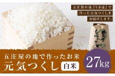 【特Aランク米】五庄屋の地で作ったお米 元気つくし 白米 (27kg) 【2025年10月上旬より順次発送予定】 こめ コメ ごはん ご飯 福岡県うきは市産 九州産