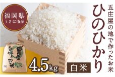【特Aランク米】五庄屋の地で作ったお米 ひのひかり 白米 (4.5kg) 【2025年10月下旬より順次発送予定】 ヒノヒカリ こめ コメ ごはん ご飯 福岡県うきは市産 九州産